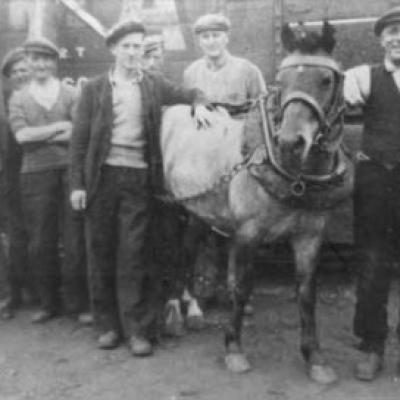 Pit Pony C.1920s