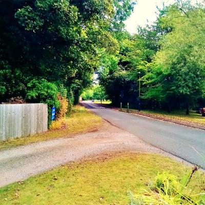 Batch Img 20210911 123123 7