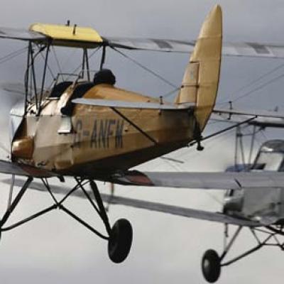 Tiger Moth Jackaroo